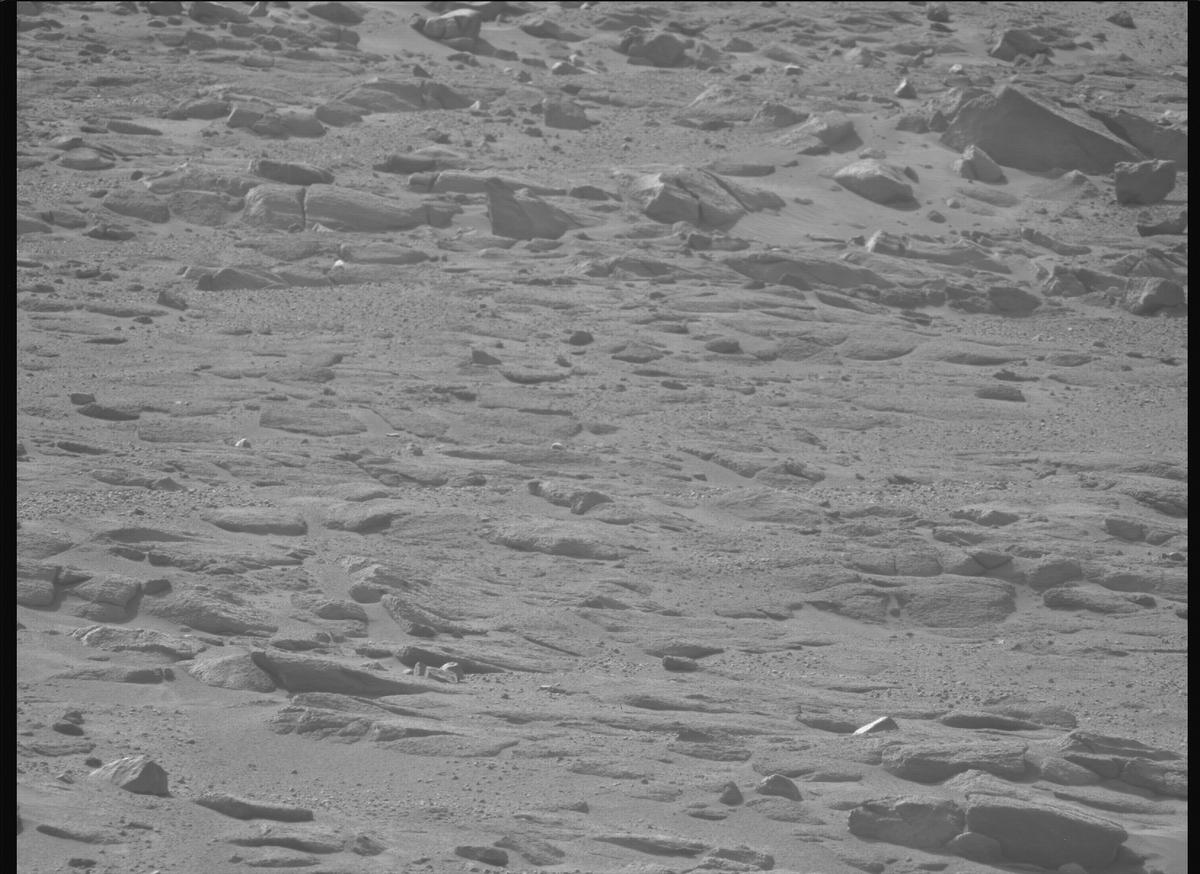 This image was taken by MCZ_LEFT onboard NASA's Mars rover Perseverance on Sol 1246