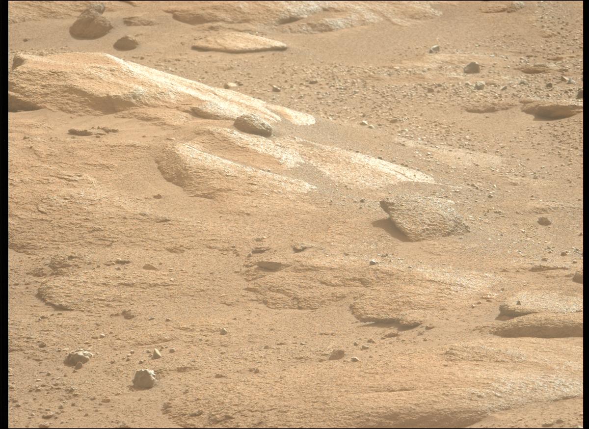 This image was taken by MCZ_LEFT onboard NASA's Mars rover Perseverance on Sol 1246