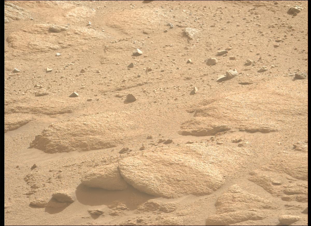 This image was taken by MCZ_LEFT onboard NASA's Mars rover Perseverance on Sol 1246
