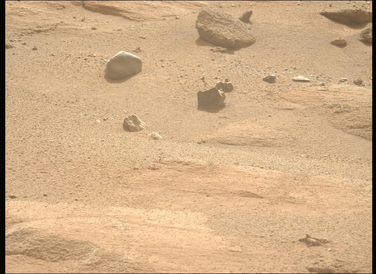 This image was taken by MCZ_LEFT onboard NASA's Mars rover Perseverance on Sol 1246