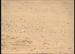 View image taken on Mars, Mars Perseverance Sol 1246: Right Mastcam-Z Camera