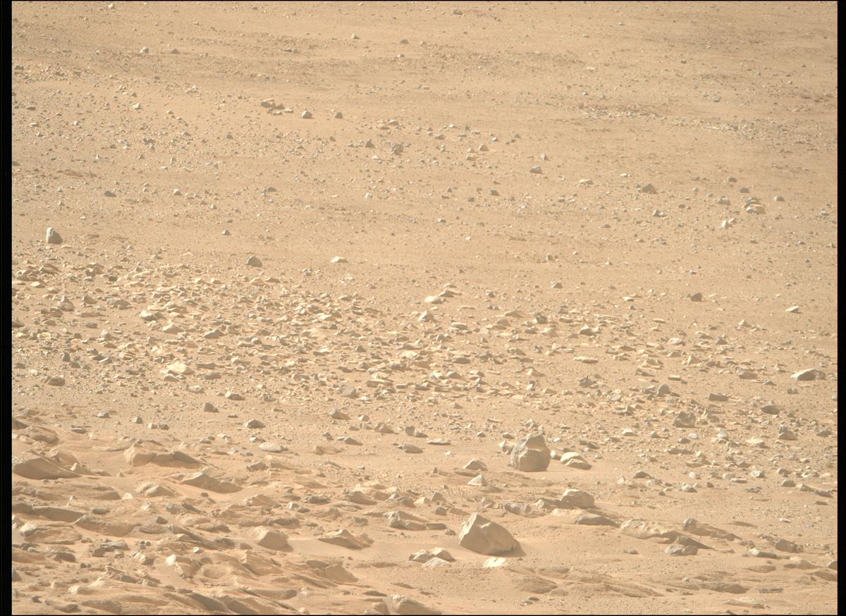 This image was taken by MCZ_RIGHT onboard NASA's Mars rover Perseverance on Sol 1246