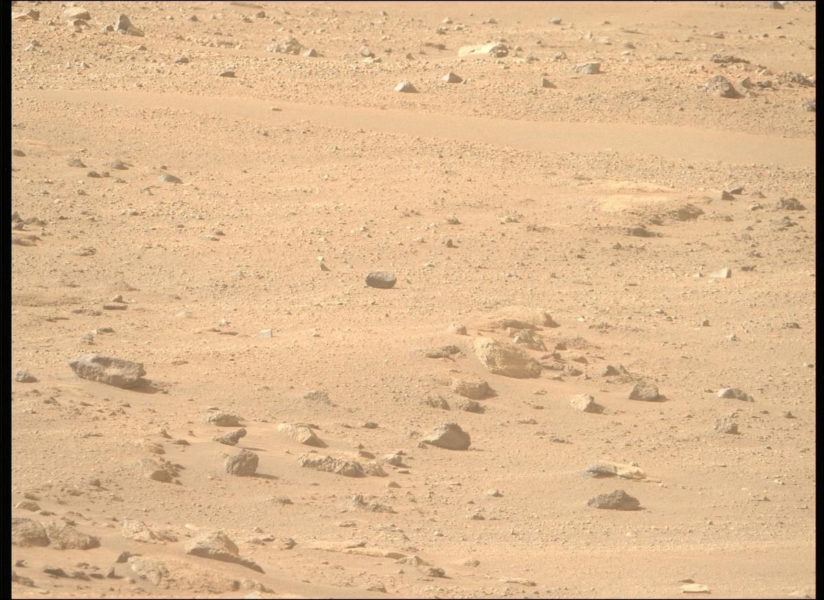 This image was taken by MCZ_RIGHT onboard NASA's Mars rover Perseverance on Sol 1246