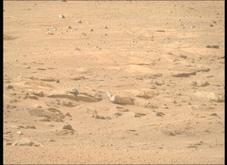 View image taken on Mars, Mars Perseverance Sol 1246: Right Mastcam-Z Camera