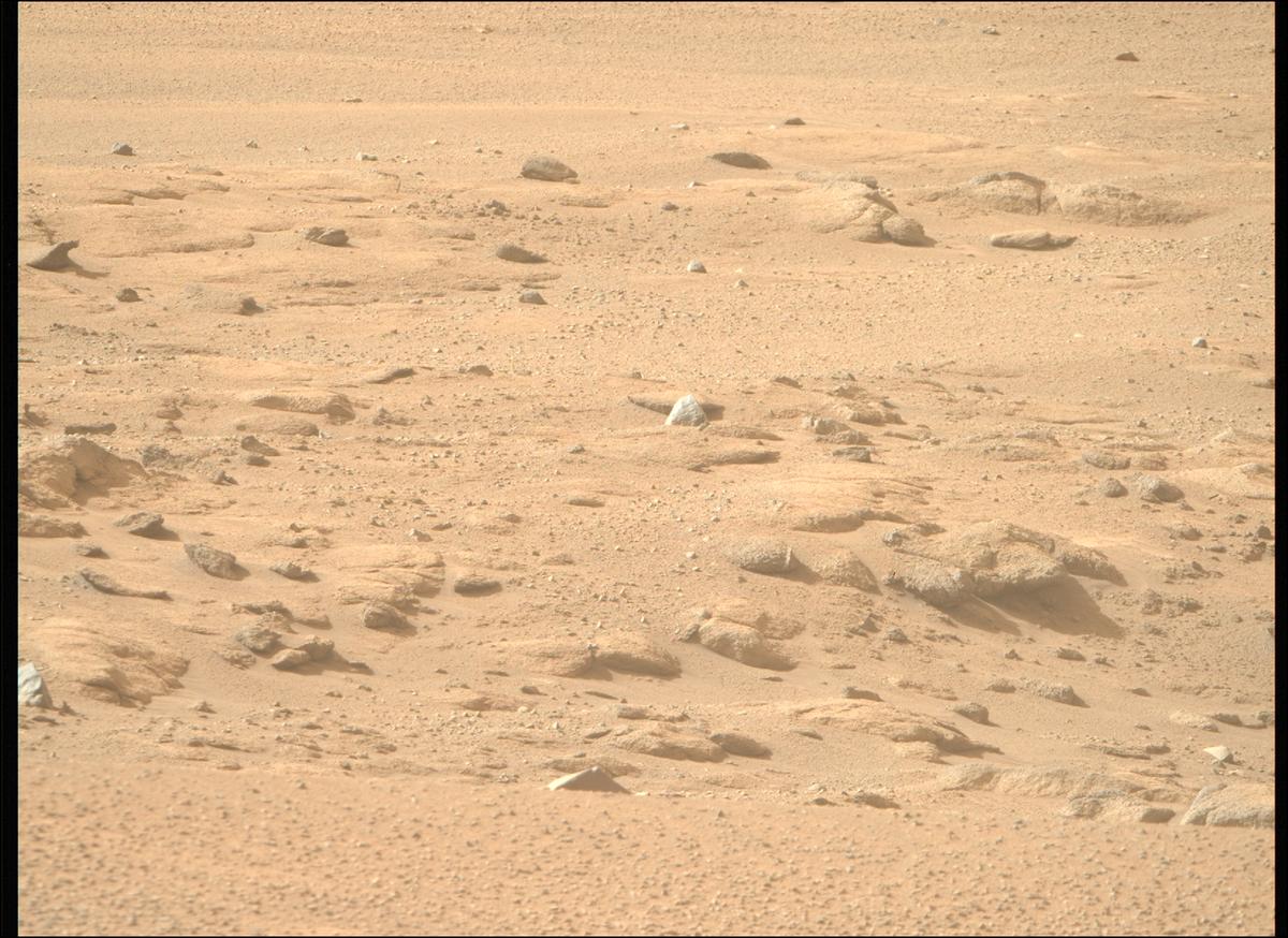 This image was taken by MCZ_RIGHT onboard NASA's Mars rover Perseverance on Sol 1246