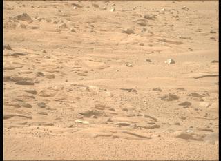 View image taken on Mars, Mars Perseverance Sol 1246: Right Mastcam-Z Camera