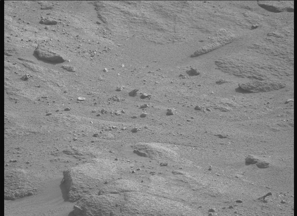 This image was taken by MCZ_RIGHT onboard NASA's Mars rover Perseverance on Sol 1246