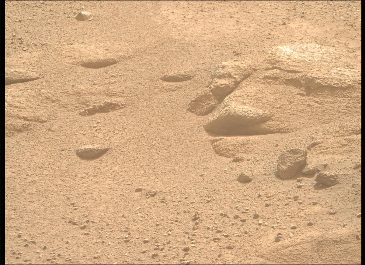This image was taken by MCZ_RIGHT onboard NASA's Mars rover Perseverance on Sol 1246