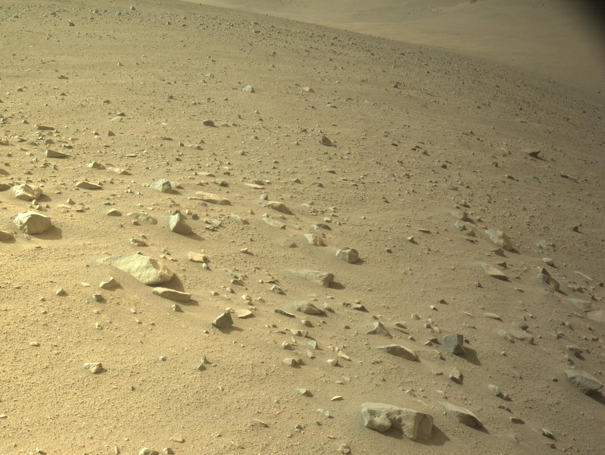 This image was taken by NAVCAM_LEFT onboard NASA's Mars rover Perseverance on Sol 1247