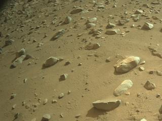 View image taken on Mars, Mars Perseverance Sol 1247: Right Navigation Camera (Navcam)