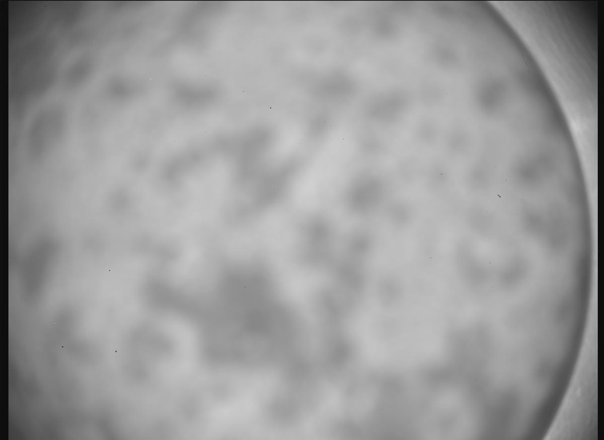 This image was taken by SHERLOC_ACI onboard NASA's Mars rover Perseverance on Sol 1248