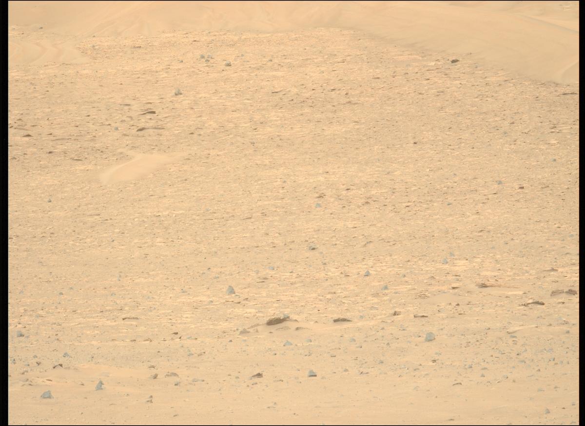 This image was taken by MCZ_LEFT onboard NASA's Mars rover Perseverance on Sol 1248
