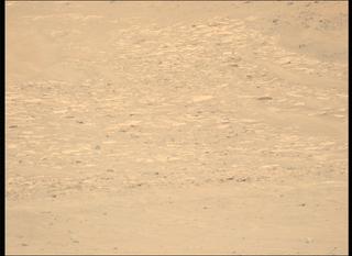 View image taken on Mars, Mars Perseverance Sol 1248: Left Mastcam-Z Camera
