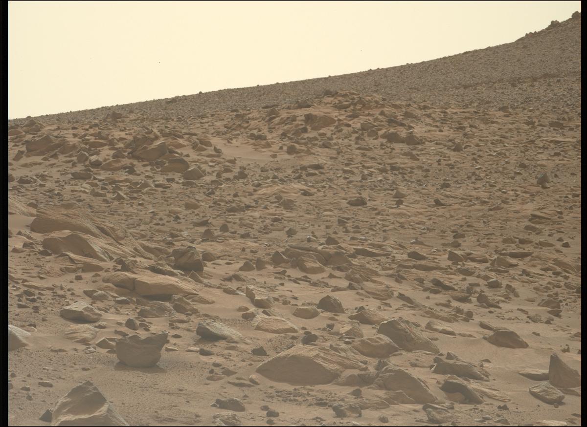 This image was taken by MCZ_LEFT onboard NASA's Mars rover Perseverance on Sol 1248