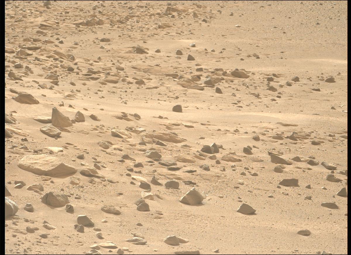 This image was taken by MCZ_LEFT onboard NASA's Mars rover Perseverance on Sol 1248