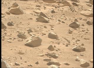 View image taken on Mars, Mars Perseverance Sol 1248: Left Mastcam-Z Camera