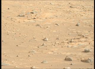 View image taken on Mars, Mars Perseverance Sol 1248: Left Mastcam-Z Camera