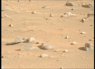 View image taken on Mars, Mars Perseverance Sol 1248: Left Mastcam-Z Camera