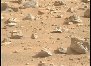 View image taken on Mars, Mars Perseverance Sol 1248: Left Mastcam-Z Camera