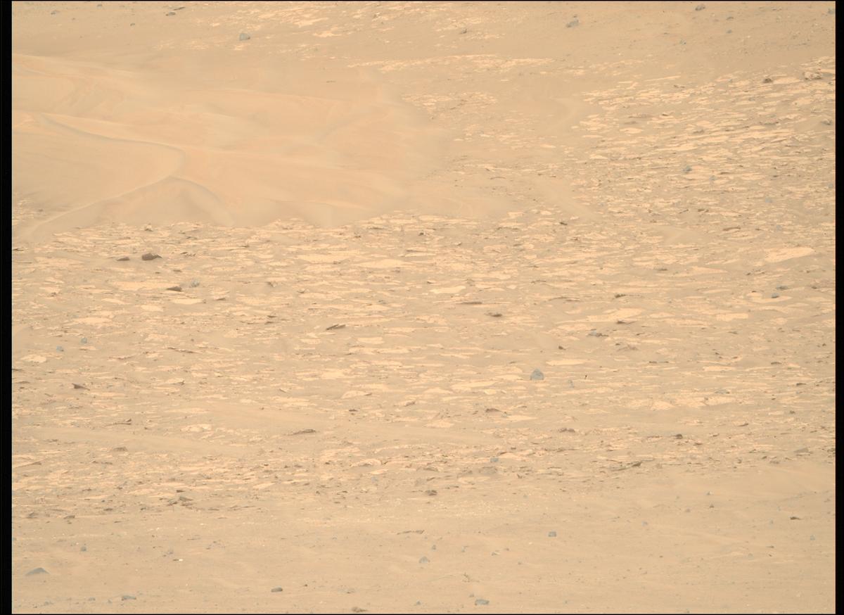 This image was taken by MCZ_RIGHT onboard NASA's Mars rover Perseverance on Sol 1248