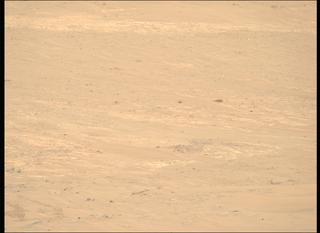 View image taken on Mars, Mars Perseverance Sol 1248: Right Mastcam-Z Camera