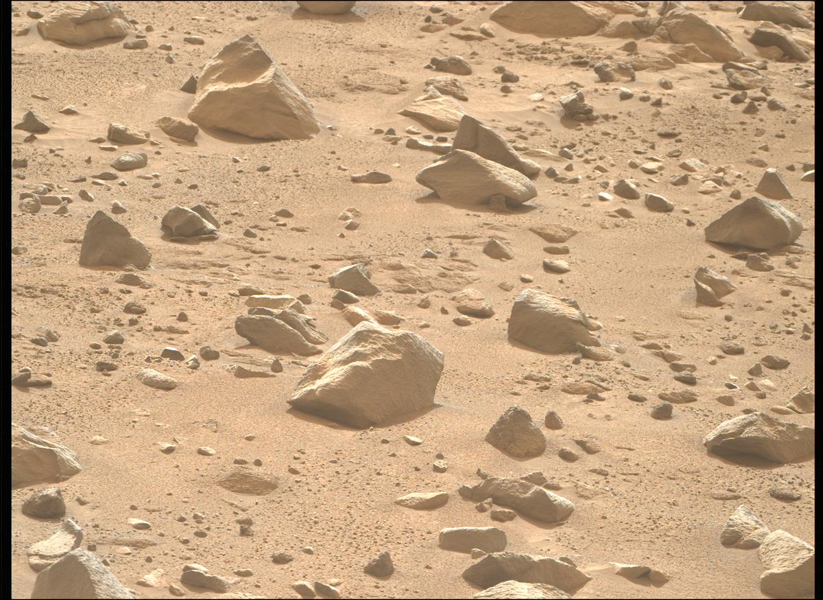 This image was taken by MCZ_RIGHT onboard NASA's Mars rover Perseverance on Sol 1248