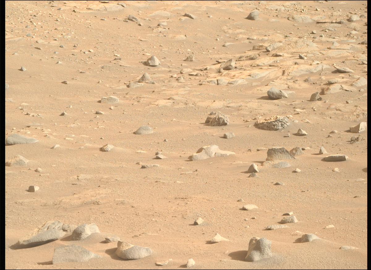 This image was taken by MCZ_RIGHT onboard NASA's Mars rover Perseverance on Sol 1248