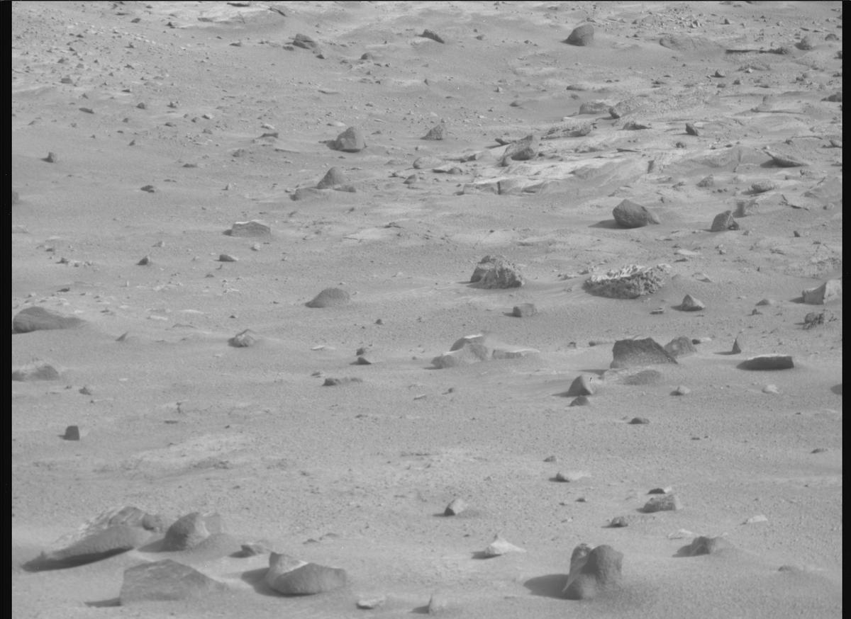 This image was taken by MCZ_RIGHT onboard NASA's Mars rover Perseverance on Sol 1248