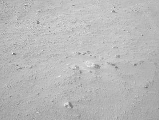 View image taken on Mars, Mars Perseverance Sol 1250: Left Navigation Camera (Navcam)