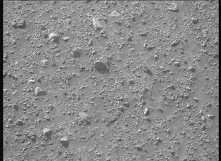 View image taken on Mars, Mars Perseverance Sol 1250: Right Mastcam-Z Camera