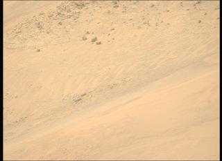 View image taken on Mars, Mars Perseverance Sol 1251: Left Mastcam-Z Camera