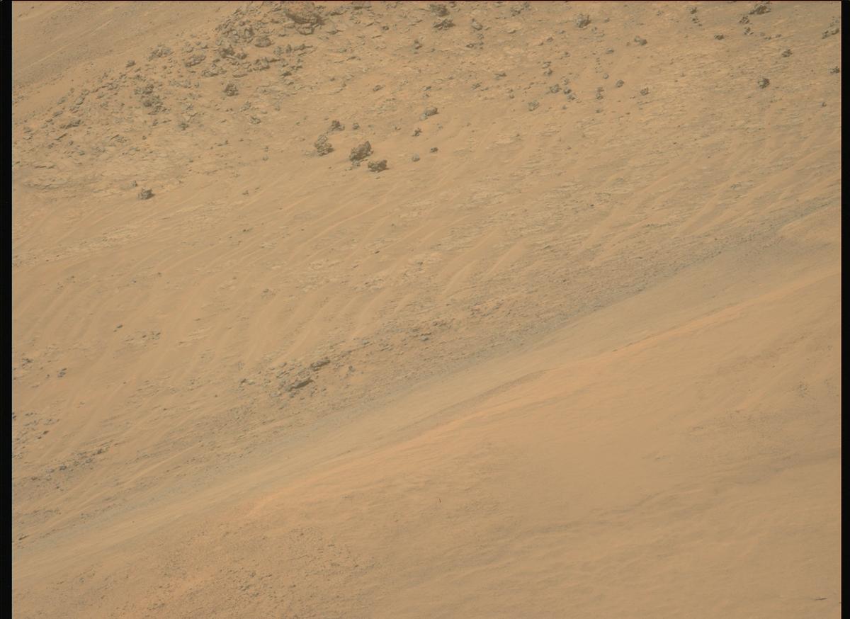 This image was taken by MCZ_LEFT onboard NASA's Mars rover Perseverance on Sol 1251