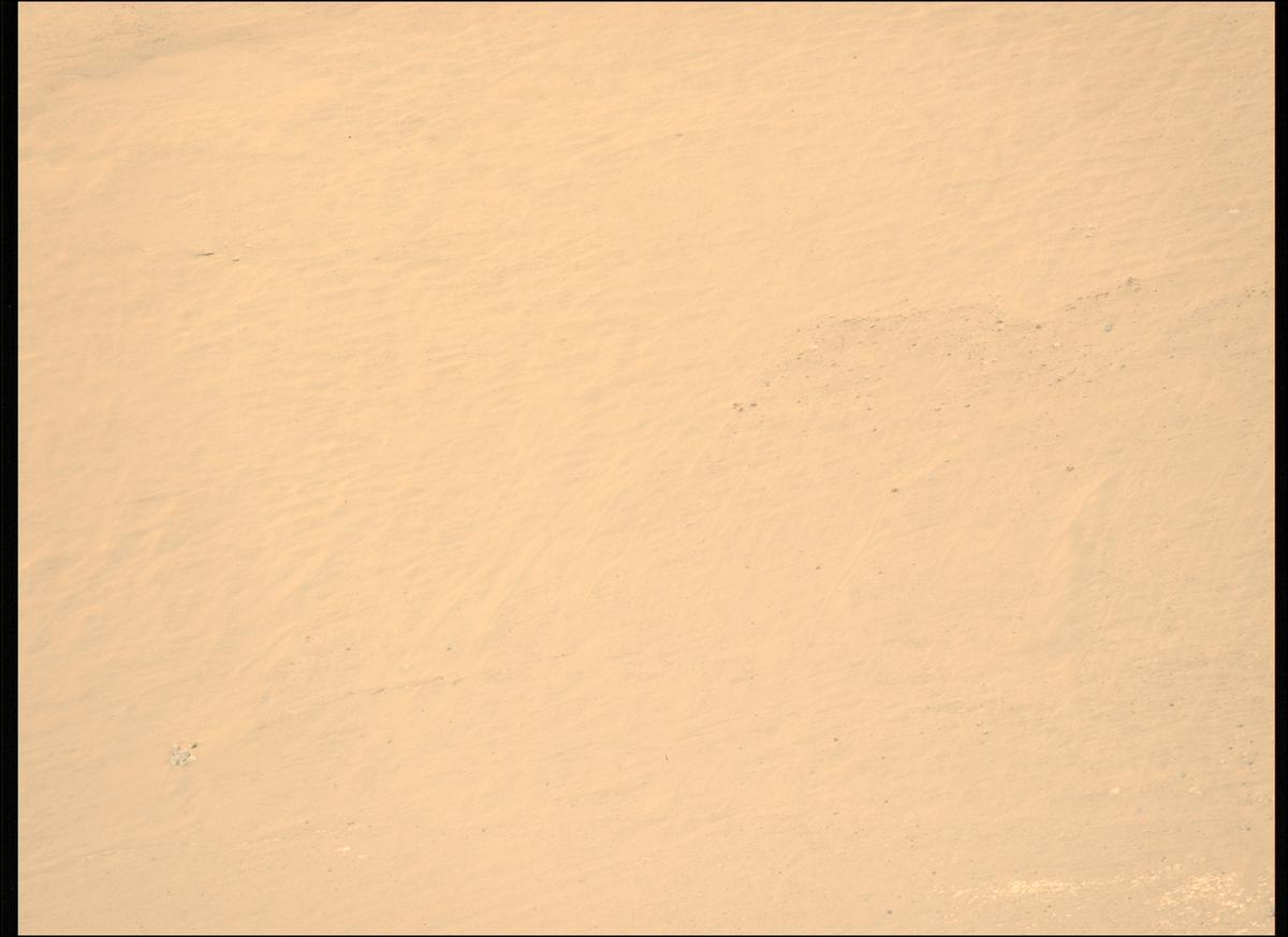 This image was taken by MCZ_LEFT onboard NASA's Mars rover Perseverance on Sol 1251