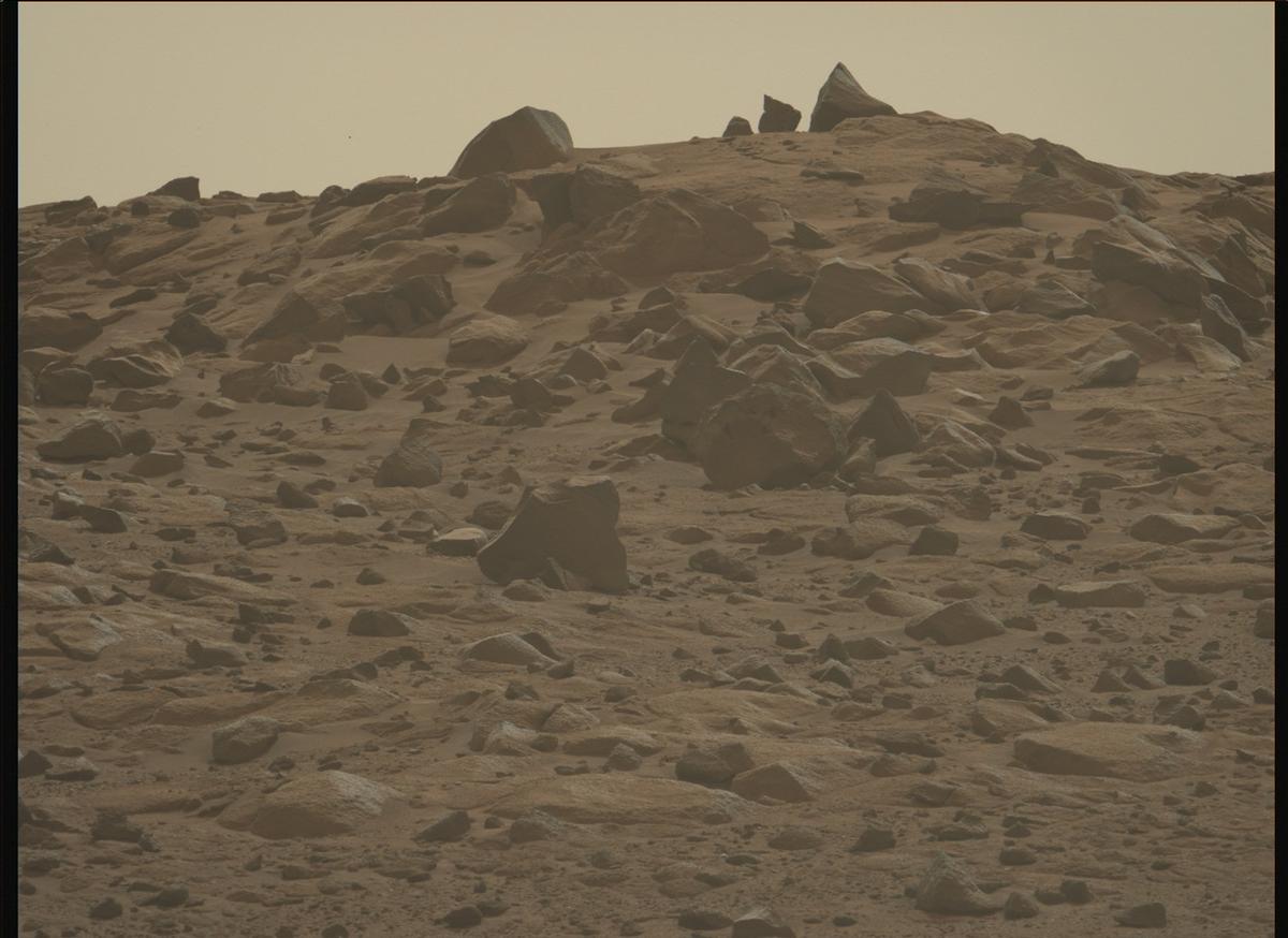 This image was taken by MCZ_LEFT onboard NASA's Mars rover Perseverance on Sol 1252