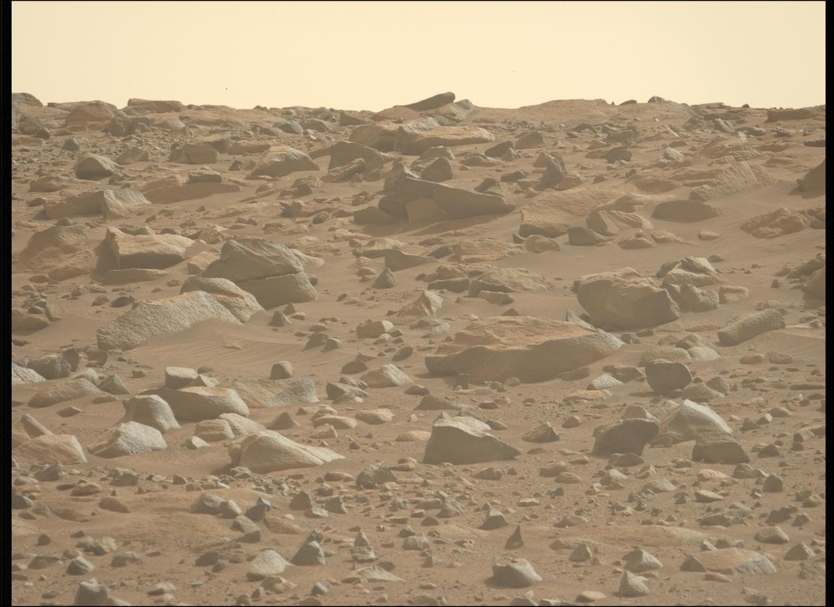 This image was taken by MCZ_LEFT onboard NASA's Mars rover Perseverance on Sol 1252