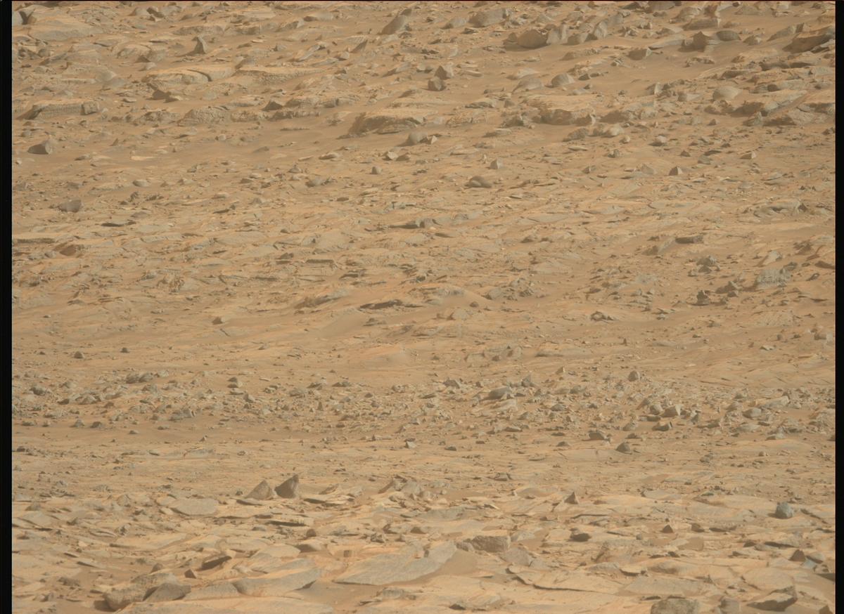 This image was taken by MCZ_LEFT onboard NASA's Mars rover Perseverance on Sol 1252