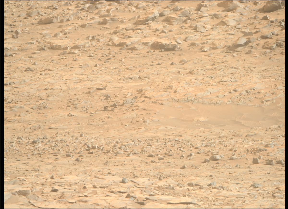 This image was taken by MCZ_RIGHT onboard NASA's Mars rover Perseverance on Sol 1252