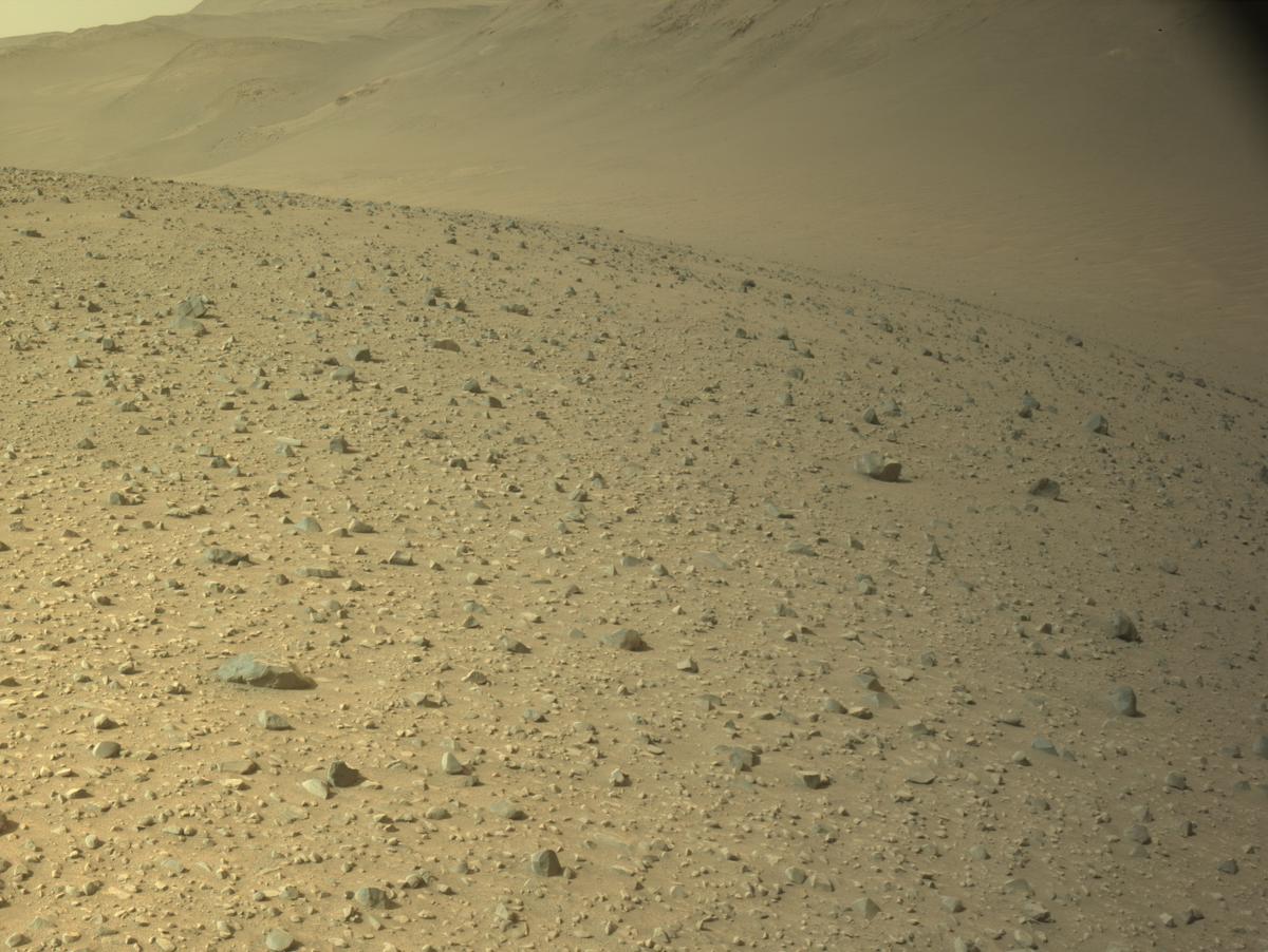 This image was taken by NAVCAM_RIGHT onboard NASA's Mars rover Perseverance on Sol 1253