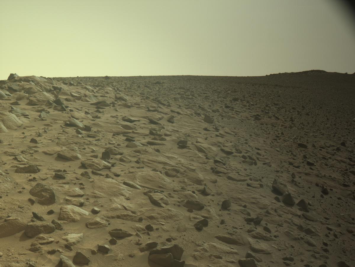 This image was taken by NAVCAM_LEFT onboard NASA's Mars rover Perseverance on Sol 1254