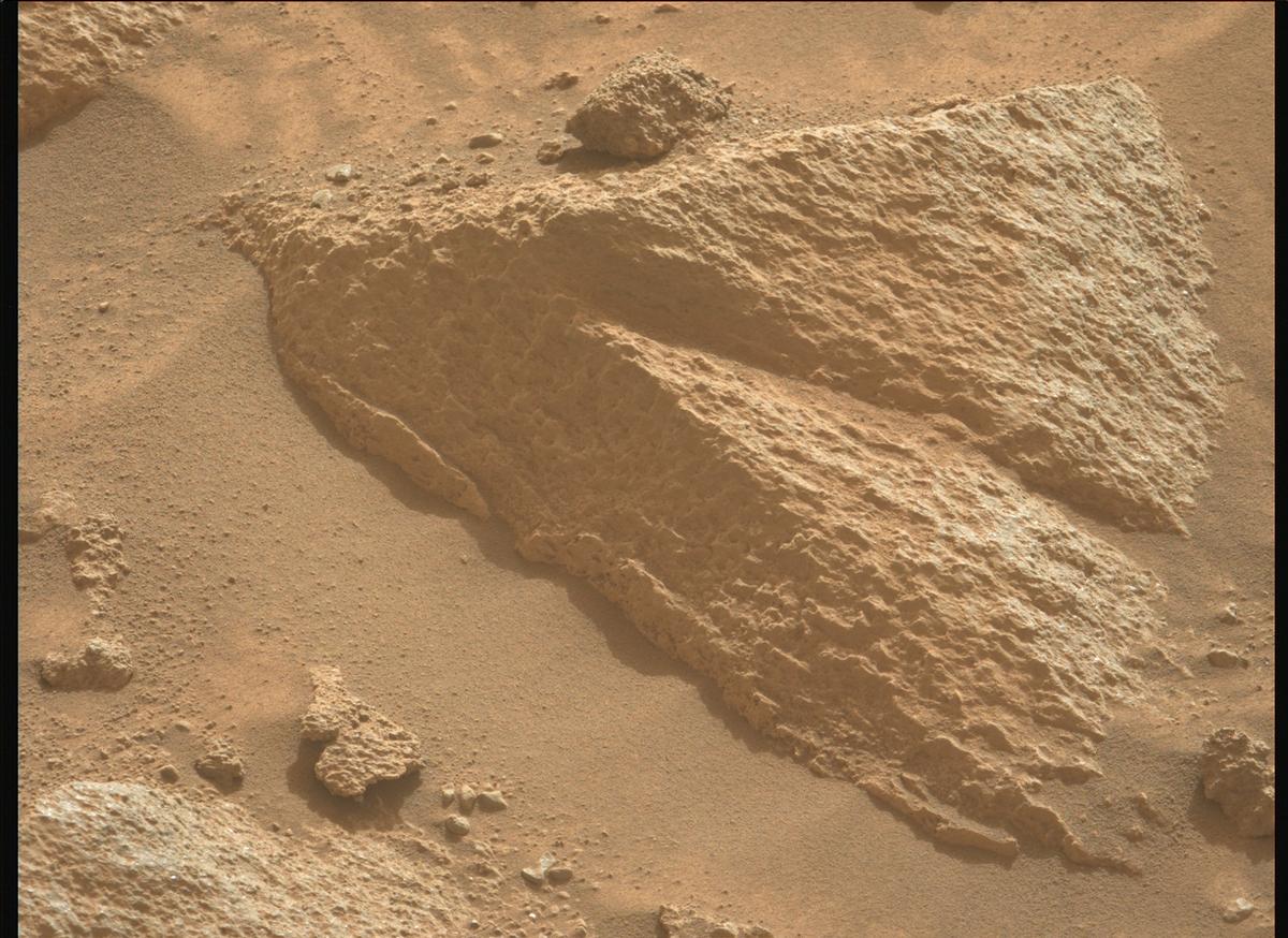 This image was taken by MCZ_LEFT onboard NASA's Mars rover Perseverance on Sol 1256