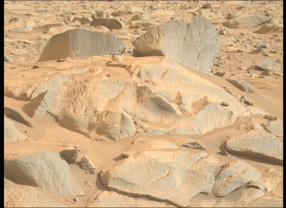 This image was taken by MCZ_LEFT onboard NASA's Mars rover Perseverance on Sol 1256