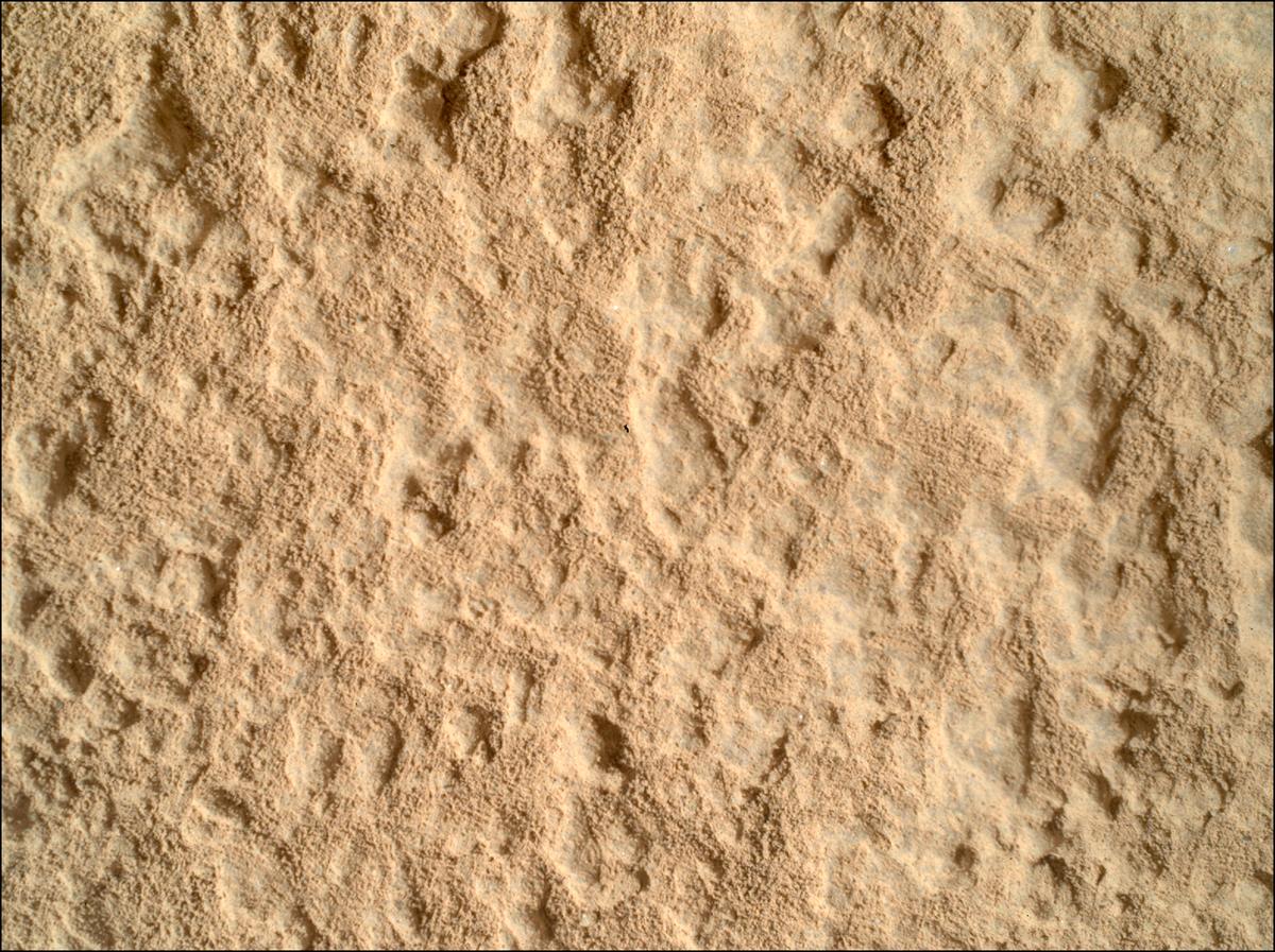This image was taken by SHERLOC_WATSON onboard NASA's Mars rover Perseverance on Sol 1257