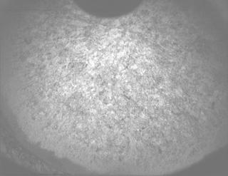 View image taken on Mars, Mars Perseverance Sol 1261: PIXL Camera 