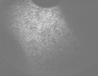 View image taken on Mars, Mars Perseverance Sol 1261: PIXL Camera 