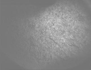 View image taken on Mars, Mars Perseverance Sol 1261: PIXL Camera 