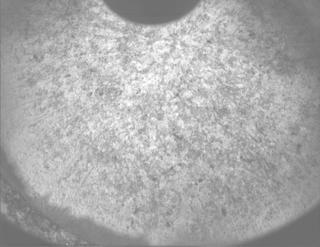 View image taken on Mars, Mars Perseverance Sol 1261: PIXL Camera 