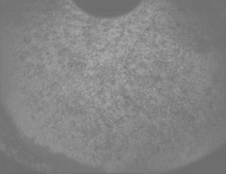 View image taken on Mars, Mars Perseverance Sol 1261: PIXL Camera 