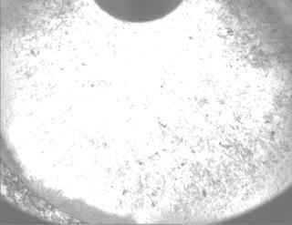 View image taken on Mars, Mars Perseverance Sol 1261: PIXL Camera 