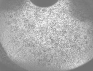 View image taken on Mars, Mars Perseverance Sol 1261: PIXL Camera 