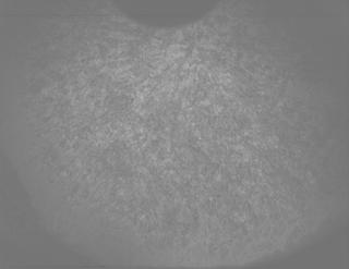 View image taken on Mars, Mars Perseverance Sol 1261: PIXL Camera 